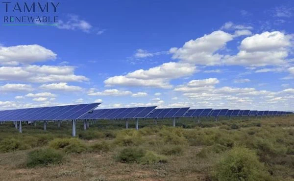 Zemlji-učinkovit poljoprivredni-PV sustav